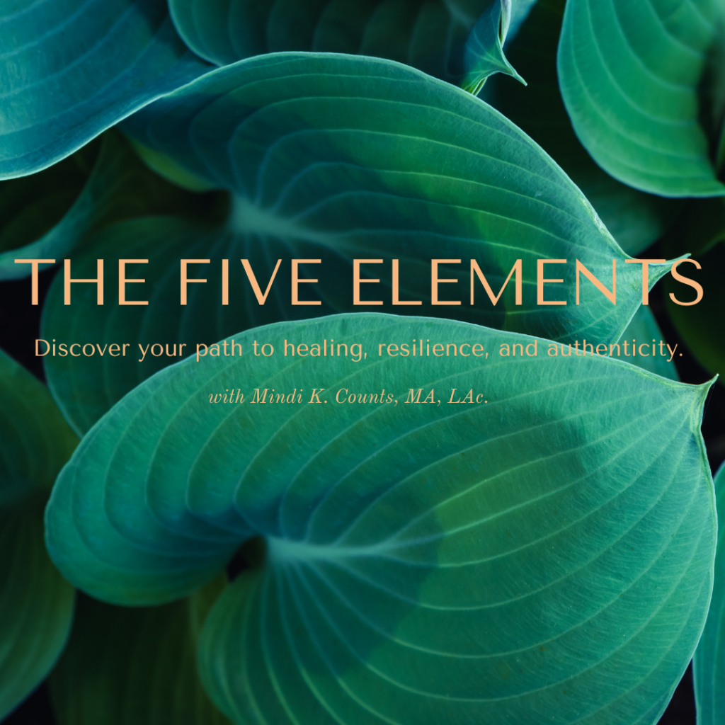 the-five-elements-sliding-scale-nourished-level-mindi-k-counts